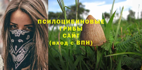 a pvp Липки
